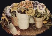 Cultivation of Flower